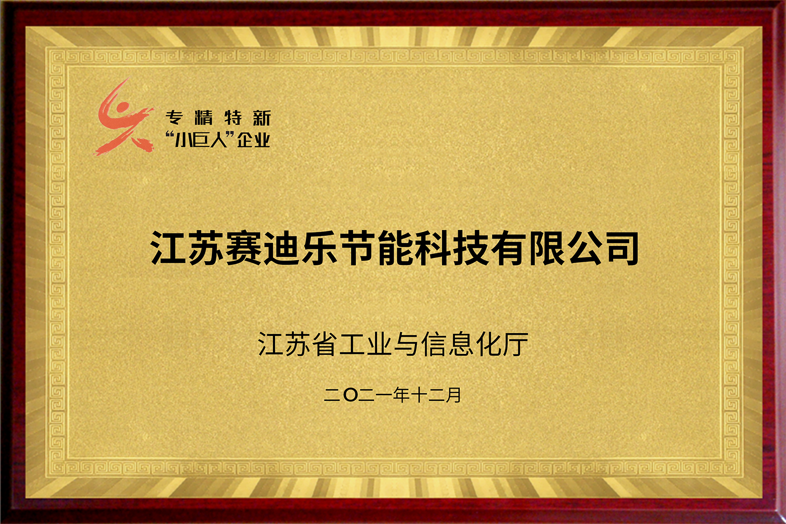 赛迪乐获评2021年度江苏省专精特新小巨人企业 赛迪乐获评2021年度江苏省专精特新小巨人企业